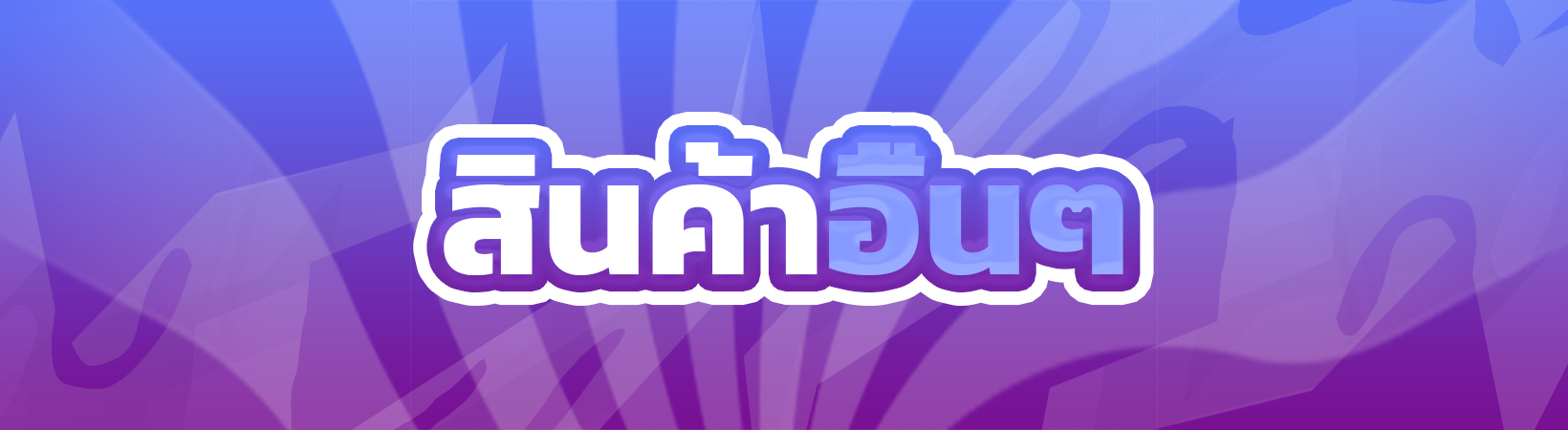 สินค้าอื่น