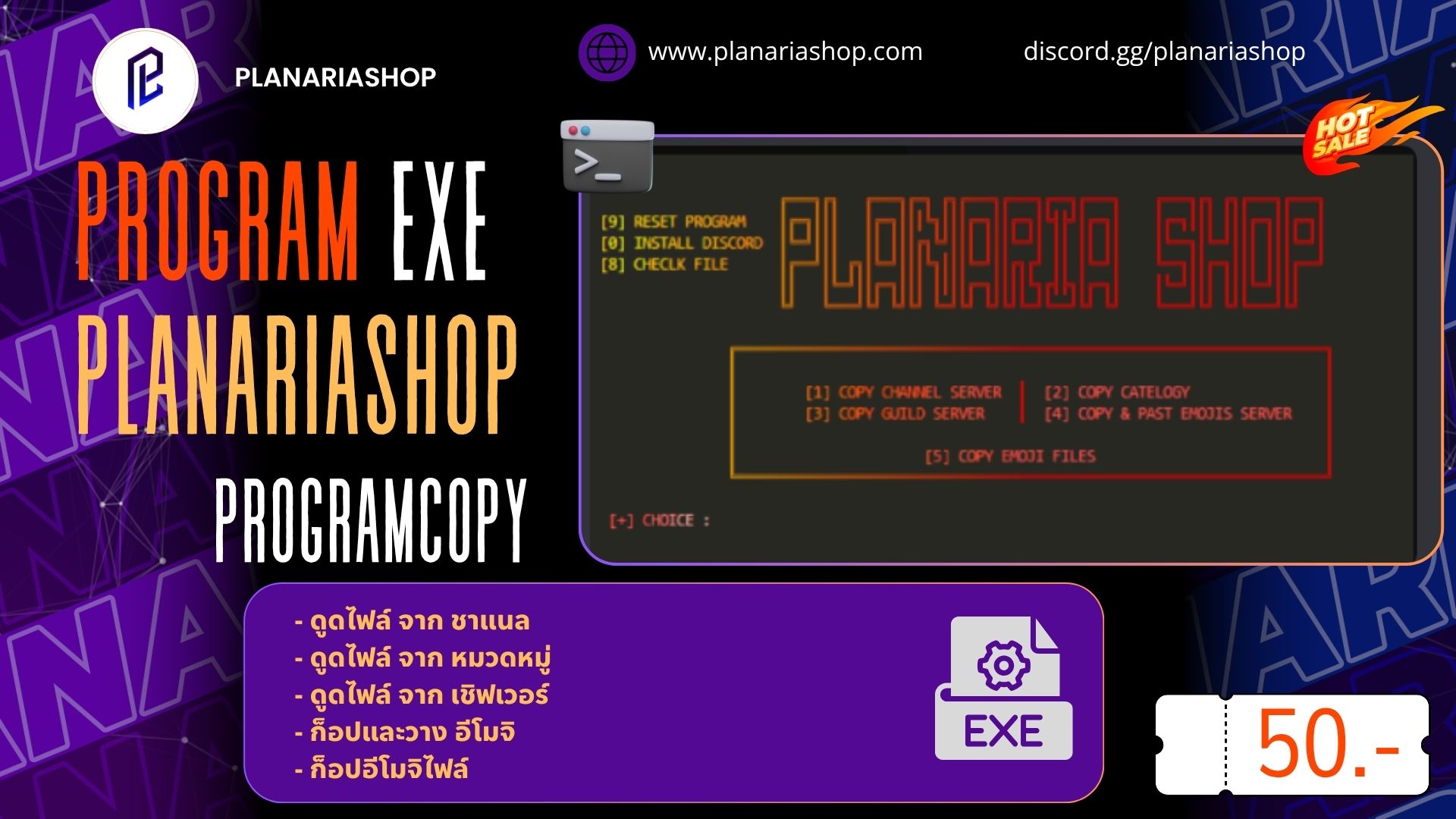 PROGRAMEXE COPYFILES ( โหลดไฟล์ )
